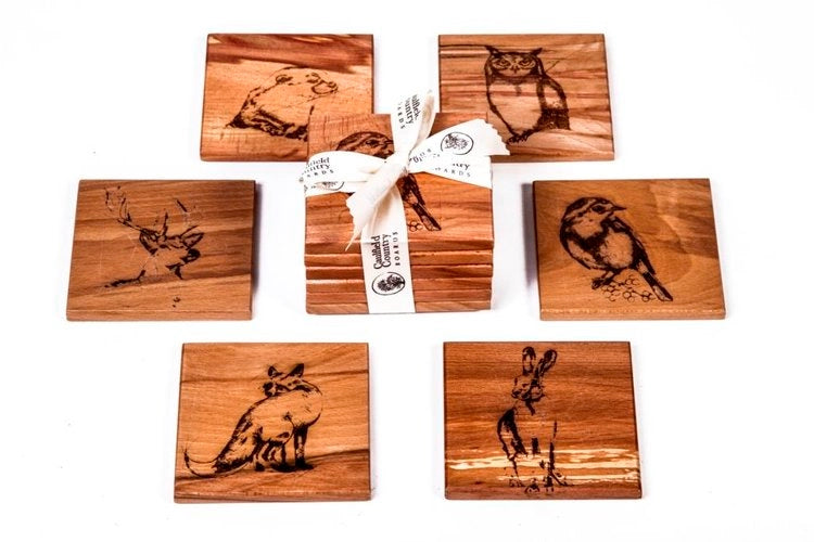 Posavasos de la colección nativa (juego de 6)