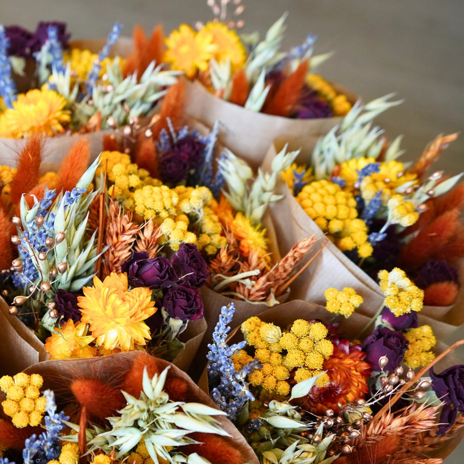 Flores secas - Harvest Sunset