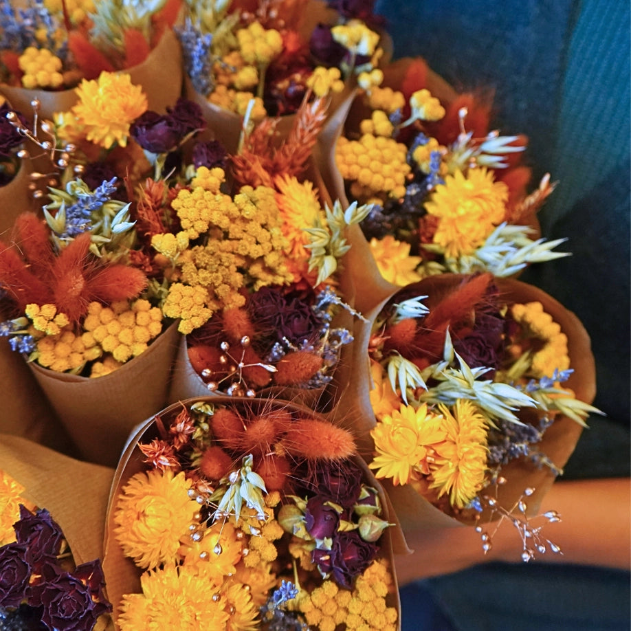 Flores secas - Harvest Sunset