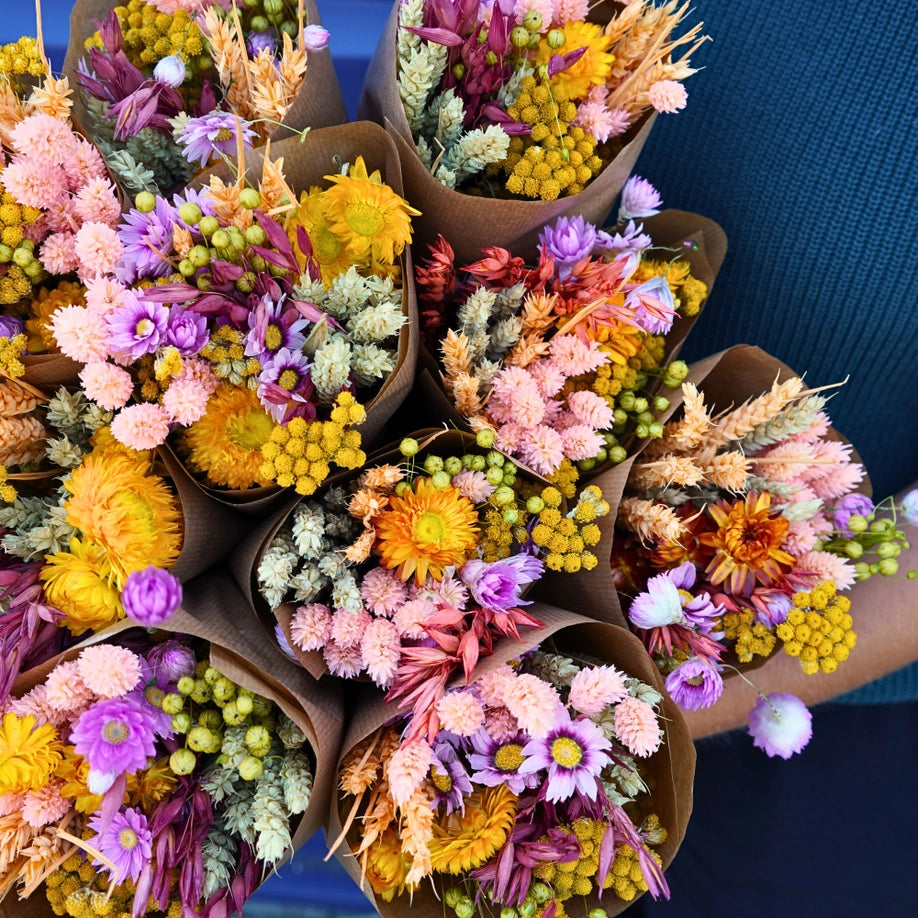Flores secas - Sunny Delight