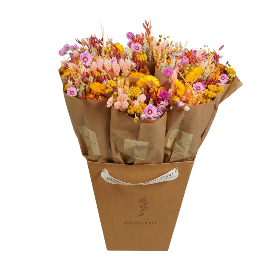 Flores secas - Sunny Delight